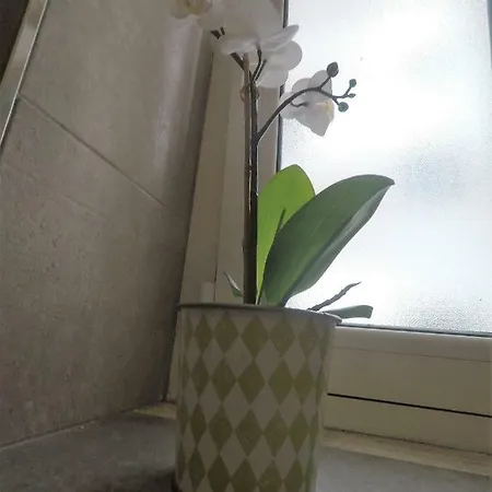 Le Dimore Di Magda 2 * Polignano a Mare